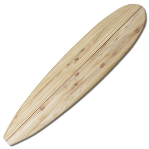 Salmon Creek | Mini Longboard Surf | Full Kit