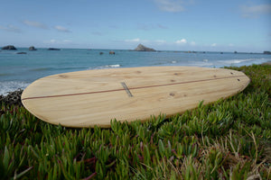 Salmon Creek | Mini Longboard Surf | Full Kit
